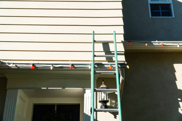 Best Custom Trim and Detailing for Siding  in Victoria, TX